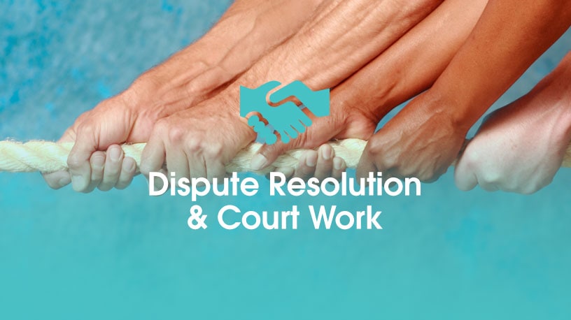 Dispute Resolution and Court Work